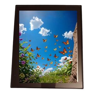 Butterflies Kingdom In A Glass Front Frame 8x10